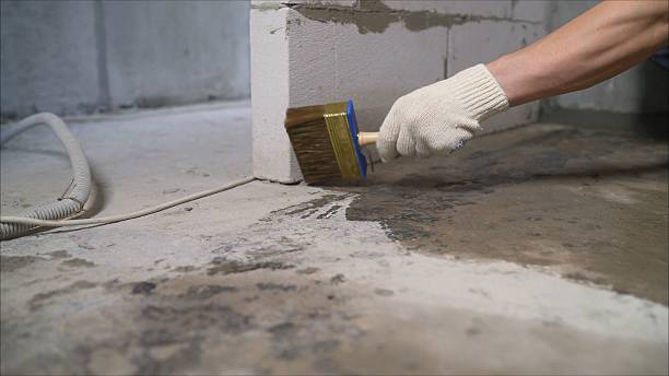 24/7 Emergency Wet Basement Repair experts in Norwood Young America, MN
